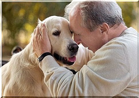 Animal-assisted therapy in people with Alzheimer's