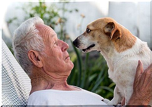 animal assisted therapy