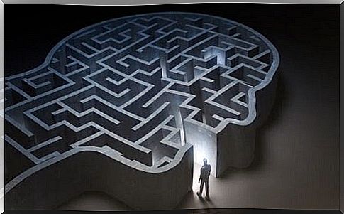 maze in a mind