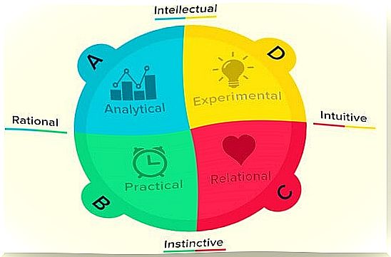 Brain dominance according to Herrmann's theory: what is yours?