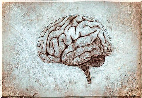 A brain drawing