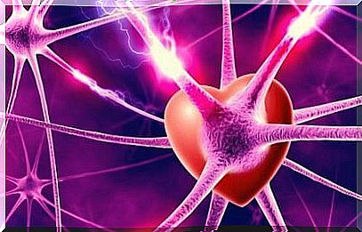 Neurons, hormones and love