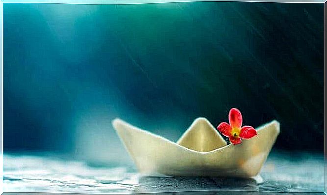 paper-boat-and-flower-under-the-summer-rain