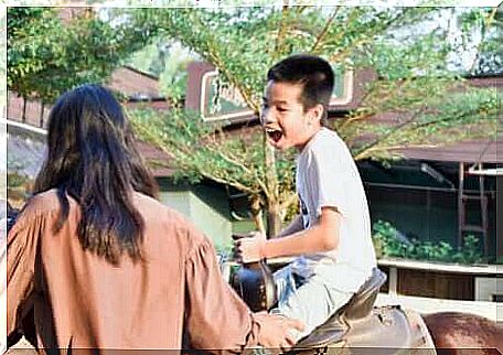 A little boy riding a horse. 