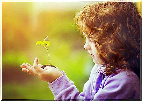 girl-watching-a-plant-growing