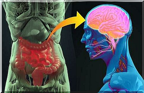 Mental digestion, or the relationship between the brain and the gut