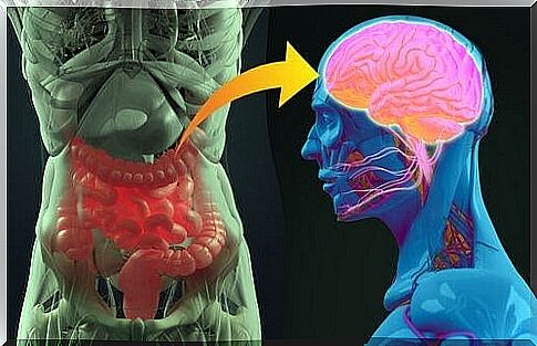 What is the relationship between the gut and the brain?