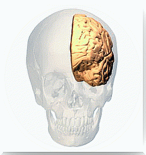 neuropsychology of dysthymia