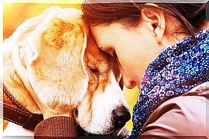 The reasons that lead us to love an animal so intensely