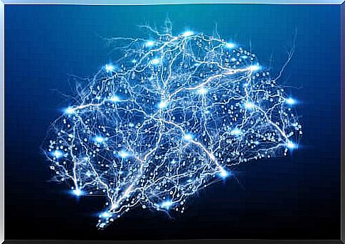 The cerebral amygdala in light pattern