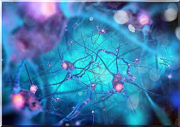 neuron