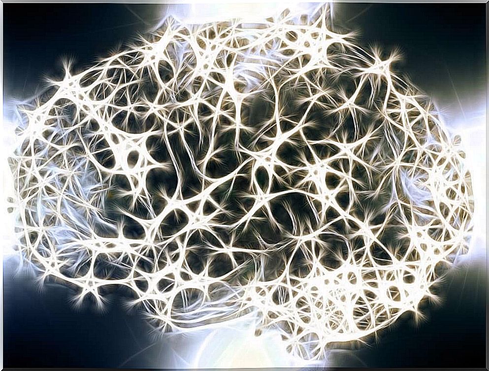 Do you know why the white matter in our nervous system is so important?