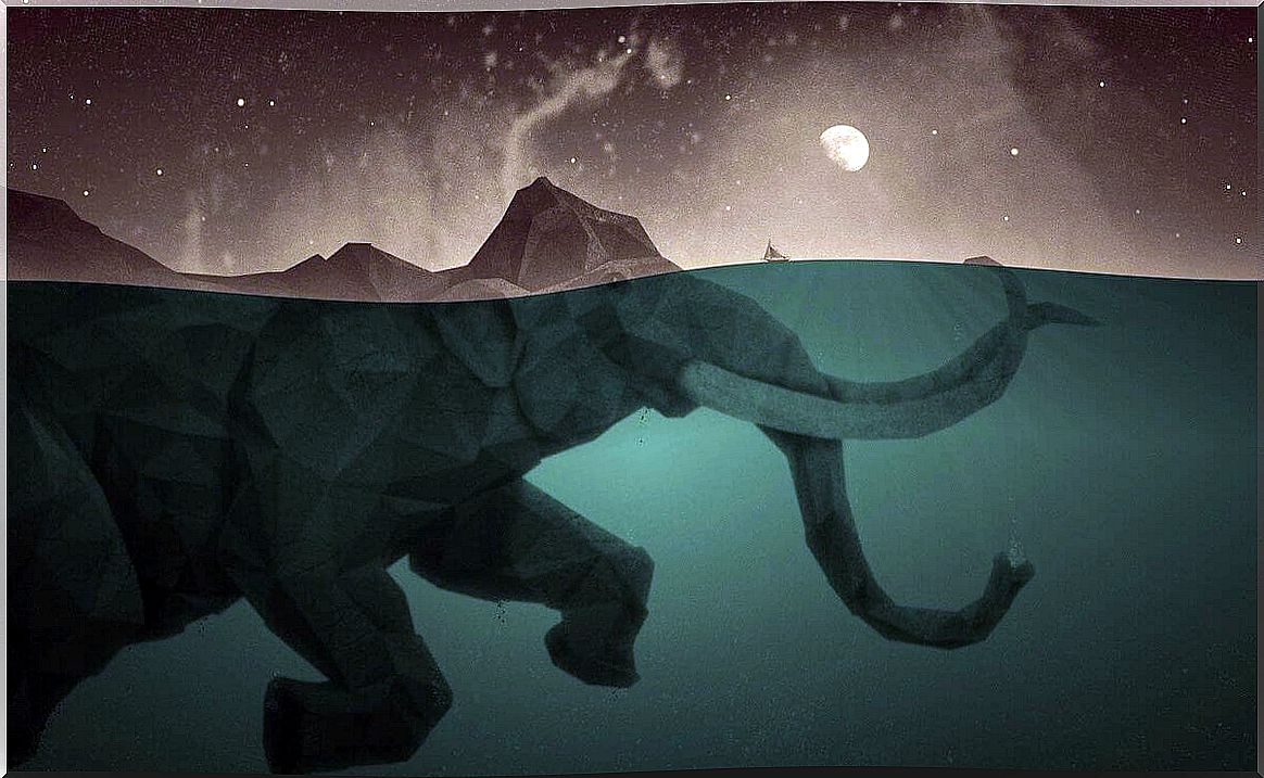 Elephant-underwater