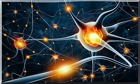 nerve activity and peripheral neuropathy