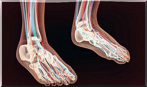 nerves of the foot and peripheral neuropathy