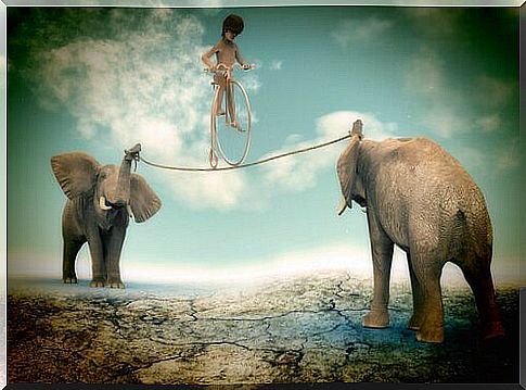 Child-in-equilibrium-between-two-elephants